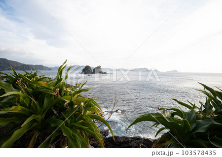 安和海岸 103578435