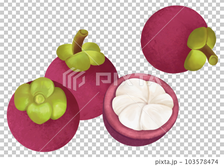 hand painted mangosteen 103578474