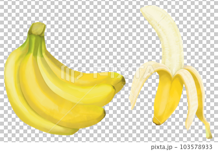 Set of hand drawn bananas 103578933