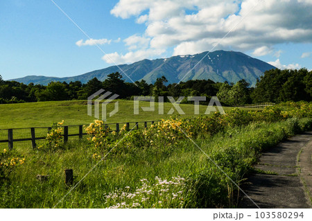 日本最大の民間総合農場の小岩井農場の初夏の牧場風景と岩手山 103580294