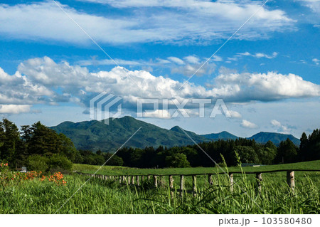 日本最大の民間総合農場の小岩井農場の初夏の牧場風景 日本最大の民間総合農場の小岩井農場の初夏の牧場風景 103580480