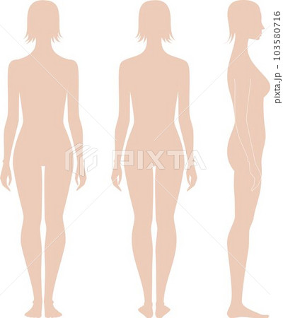 Female figure template. Fashion croquis.  103580716