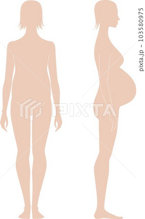 Pregnant female figure template. Front and side. 103580975
