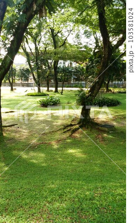 マレーシアのクアラルンプールの風景、公園　 103581024