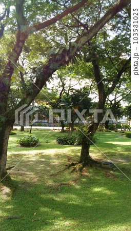 マレーシアのクアラルンプールの風景、公園 マレーシアのクアラルンプールの風景、公園 103581025