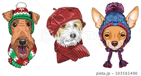 vector Set 18 cartoon hipster dogs vector Set 18 cartoon hipster dogs 103581490