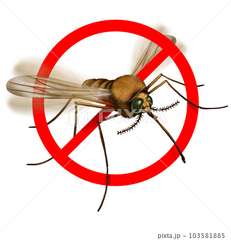 No Mosquitos 103581885