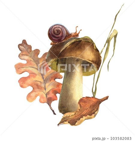 Autumn watercolor composition with a mushroom, autumn leaves, a blade of grass, a snail on a mushroom cap. Hand-drawn isolated on a white background Autumn watercolor composition with a mushroom, autumn leaves, a blade of grass, a snail on a mushroom cap. Hand-drawn isolated on a white background 103582083