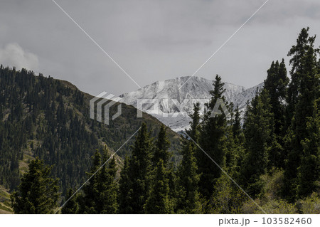 Summer mountain landscape. Kyrgyzstan mountains. Issyk-Kul region. 103582460