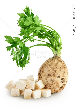 Fresh celery root with leaf isolated on white background Fresh celery root with leaf isolated on white background 103583736