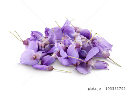 Wisteria flowers isolated on white background with full depth of field Wisteria flowers isolated on white background with full depth of field 103583793