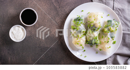 Vegetarian spring rolls with three types of cabbage in rice paper on a plate top view web banner 103583882