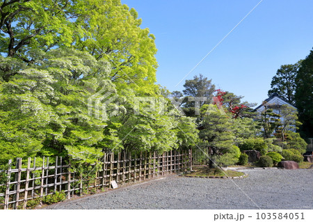 四季折々の表情を見せる日本の庭園（どうだん亭　旧浅井家住宅離れ　愛知県 尾張旭市） 103584051
