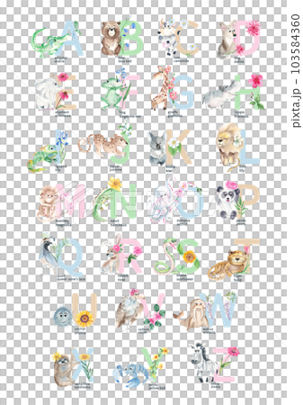 Watercolor hand drawn cute latin animal and floral alphabet. Baby animals with flowers and ABC symbols isolated on white background. Can be used as print poster, baby wallart, for baby shower, kids Watercolor hand drawn cute latin animal and floral alphabet. Baby animals with flowers and ABC symbols isolated on white background. Can be used as print poster, baby wallart, for baby shower, kids 103584360