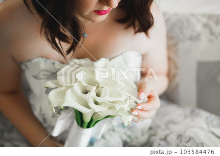 Beautiful bride wearing fashion wedding dress with feathers with luxury delight make-up and hairstyle, studio indoor photo shoot 103584476