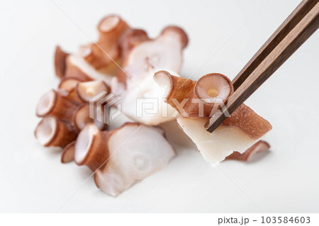 新鮮で美味しいタコ 新鮮で美味しいタコ 103584603