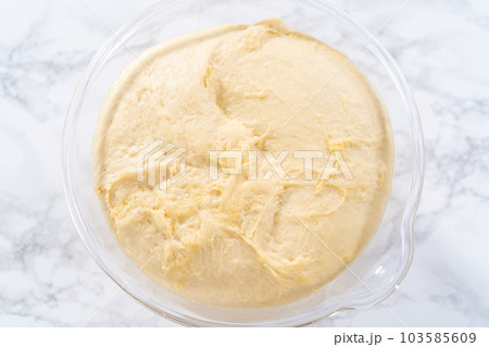 Preparing bread dough to bake homemade brioche buns. Preparing bread dough to bake homemade brioche buns. 103585609