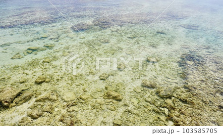 沖縄県伊是名島の二見ヶ浜の海水面 沖縄県伊是名島の二見ヶ浜の海水面 103585705