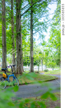 初夏・新緑のサイクリングイメージ　(蒜山高原） 103585855