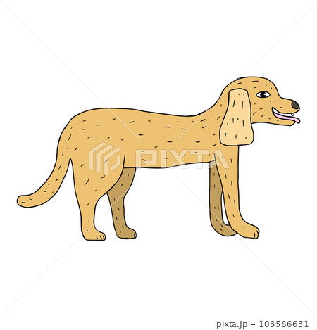 Cartoon doodle dog isolated on white background. 103586631