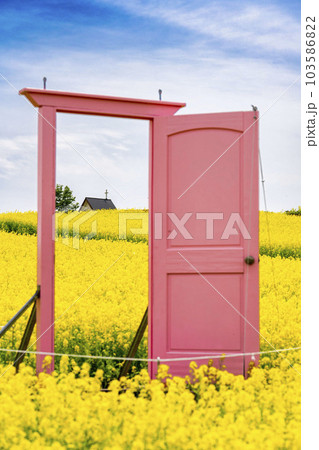 丘のある公園と菜の花畑　ピンクのドア　初夏のやくらい　宮城県加美町 103586822
