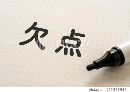 欠点と書かれたノートとマーカー 欠点と書かれたノートとマーカー 103586955