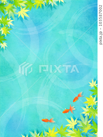 金魚と青もみじ 梅雨 夏イメージ 103587002