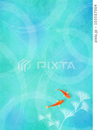 金魚と水草 梅雨 夏イメージ 103587004
