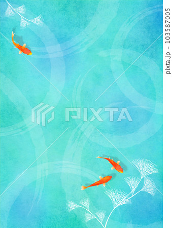 金魚と水草 梅雨 夏イメージ 金魚と水草 梅雨 夏イメージ 103587005
