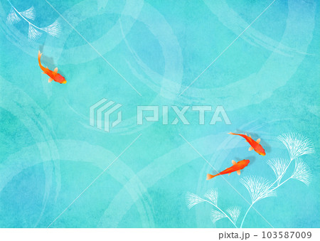 金魚と水草 梅雨 夏イメージ 103587009