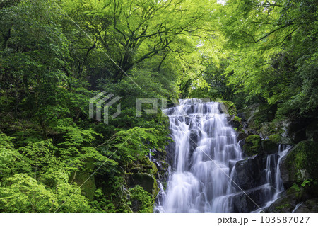 糸島の人気観光スポット　美しい白糸の滝　（福岡県糸島市） 103587027