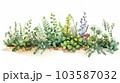 ハーブの庭の水彩スケッチ風イラスト【白背景】 103587032