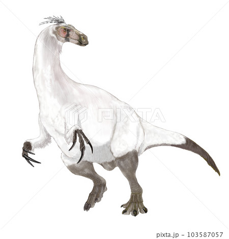 アラシャサウルス モンゴルの湿地のビッグフット アラシャサウルス モンゴルの湿地のビッグフット 103587057