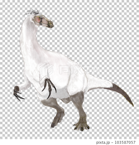 アラシャサウルス モンゴルの湿地のビッグフット アラシャサウルス モンゴルの湿地のビッグフット 103587057