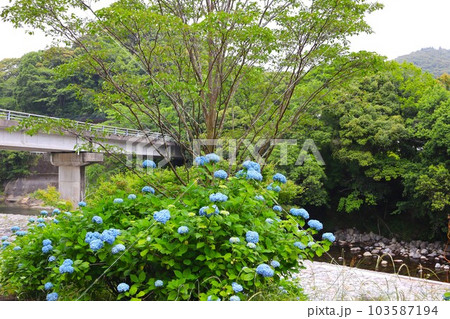 牧水公園河川敷プール 103587194