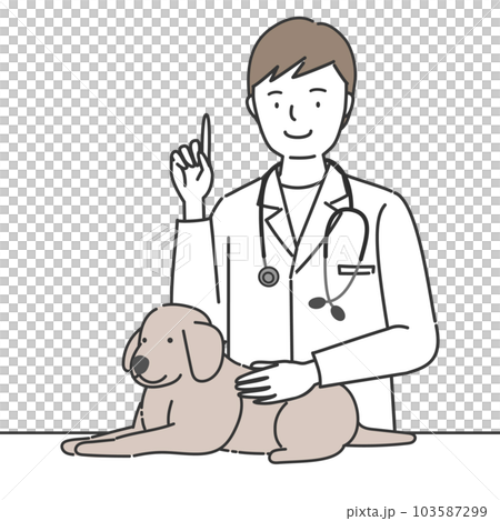 veterinarian examining a dog 103587299