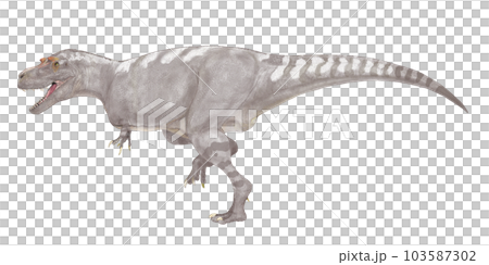 アルバートサウルス　小型でややスマートなティラノサウルスの9眷属　 103587302