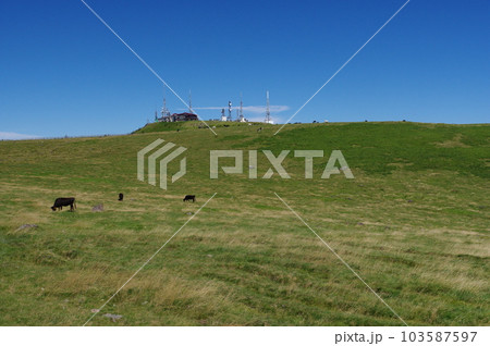 美ヶ原高原 王ヶ頭と美ヶ原牧場 103587597