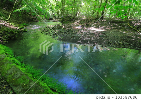 新緑の黒岳原生林と清流(男池・由布市) 新緑の黒岳原生林と清流(男池・由布市) 103587686