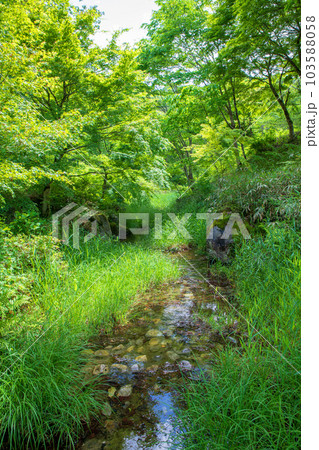 西大芦フォレストビレッジ　水辺　新緑の風景　鹿沼市　 103588058