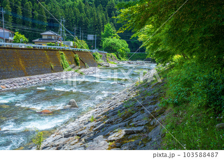 西大芦フォレストビレッジ　大芦川　新緑の風景　鹿沼市　 103588487