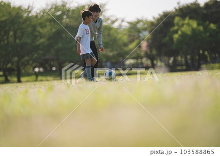 Soccer Coach 103588865