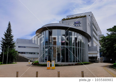 日本大学芸術学部・大学院芸術学研究科 103588981