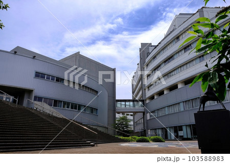 日本大学芸術学部・大学院芸術学研究科 日本大学芸術学部・大学院芸術学研究科 103588983