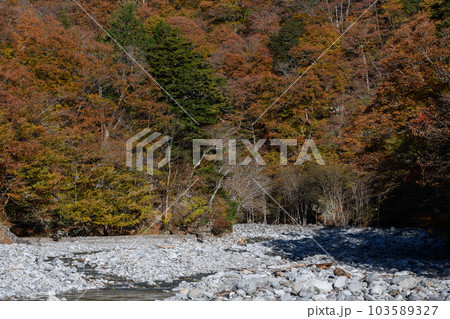 奥秩父の紅葉 奥秩父の紅葉 103589327