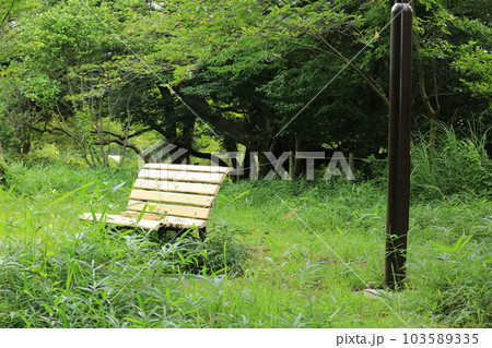 三ッ池公園を歩いた 三ッ池公園を歩いた 103589335