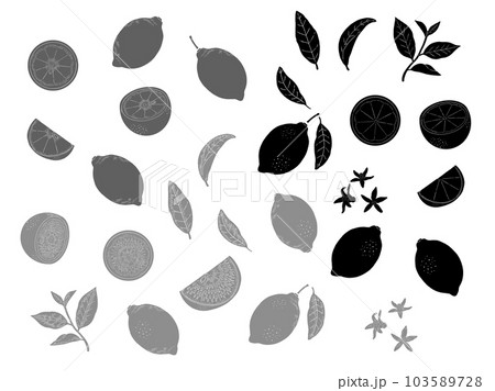 手描きのレモンのシルエットイラストセット 103589728