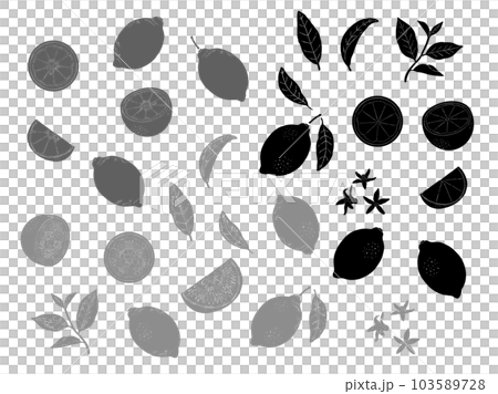手描きのレモンのシルエットイラストセット 103589728