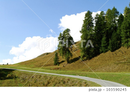 スイス　田舎の風景 103590245