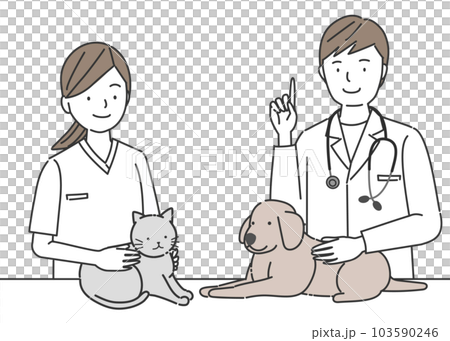Veterinary hospital staff examining dogs and cats Veterinary hospital staff examining dogs and cats 103590246